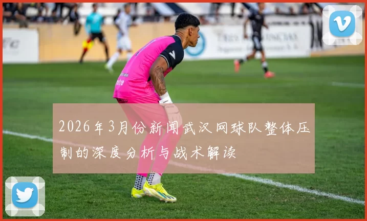 2026年3月份新闻武汉网球队整体压制的深度分析与战术解读