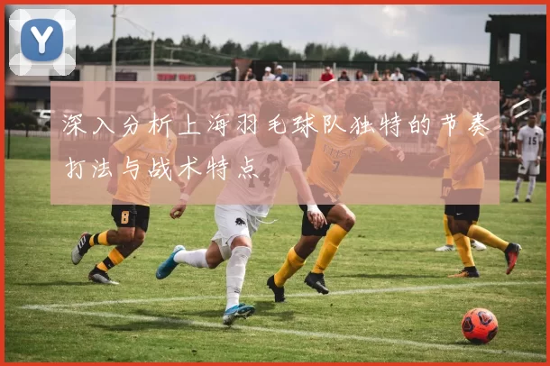 深入分析上海羽毛球队独特的节奏打法与战术特点
