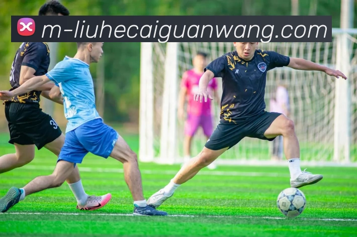 App Interface Preview